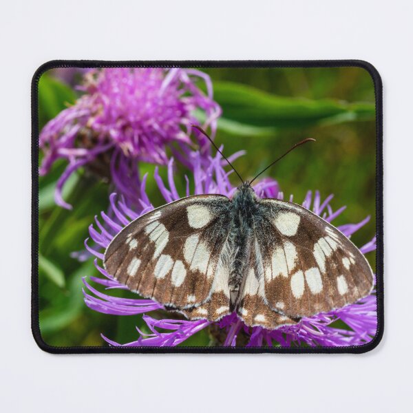 Item preview, Marbled White Butterfly designed and sold by Kasia Design.