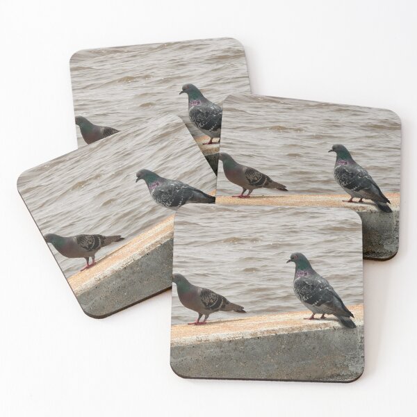 Item preview,     Why Rock Doves Are Everywhere. designed and sold by Pearls1.