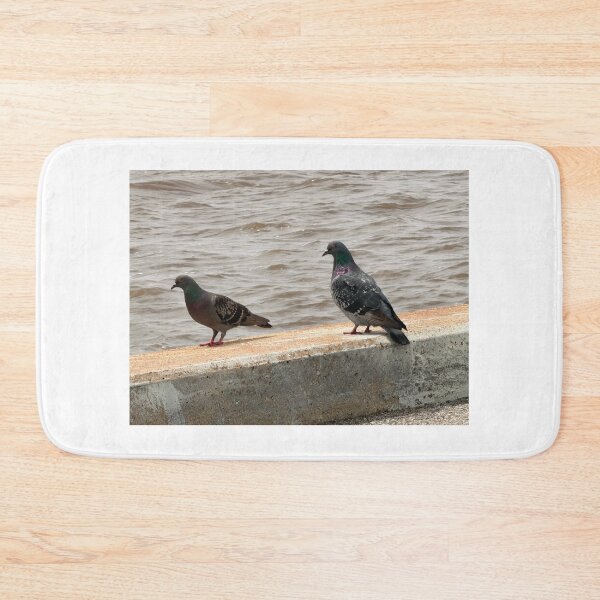 Item preview,     Why Rock Doves Are Everywhere. designed and sold by Pearls1.