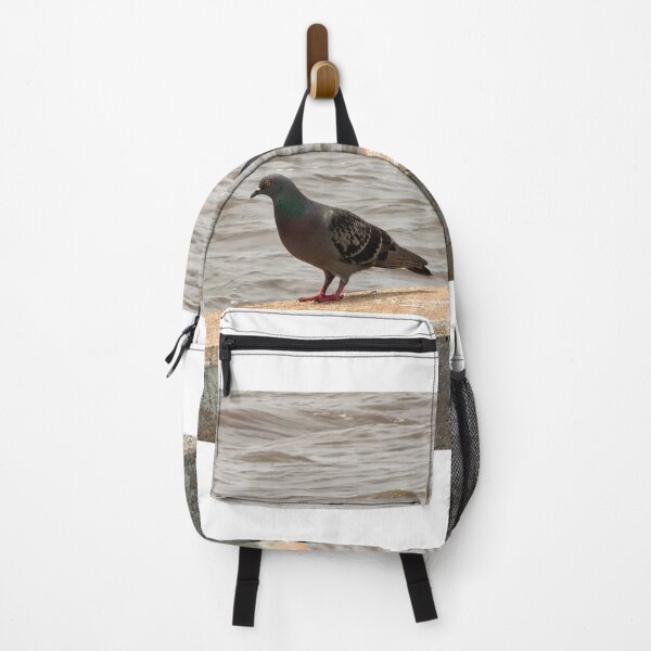 Item preview, Why Rock Doves Are Everywhere. designed and sold by Pearls1.