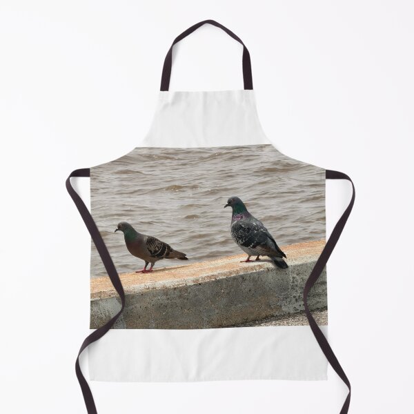 Item preview, Why Rock Doves Are Everywhere. designed and sold by Pearls1.