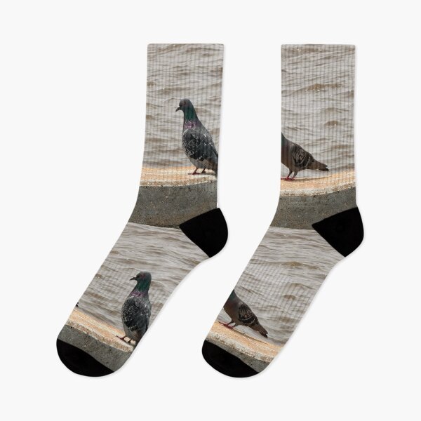 Item preview,     Why Rock Doves Are Everywhere. designed and sold by Pearls1.