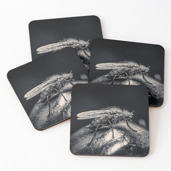 Item preview, Grey Fly on a Dark Surface — in Black and White designed and sold by Rabee Khalil Photography.