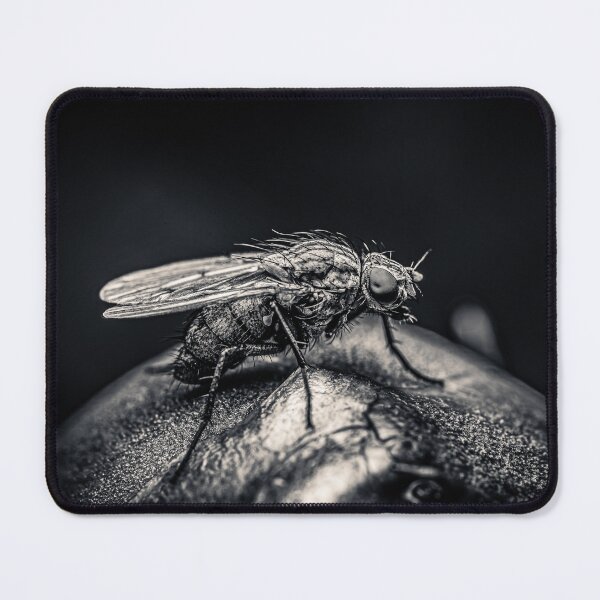 Item preview, Grey Fly on a Dark Surface — in Black and White designed and sold by Rabee Khalil Photography.