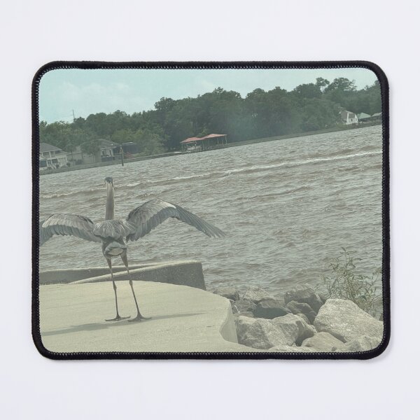 Item preview, The Elegant Wading Bird of North America. designed and sold by Pearls1.