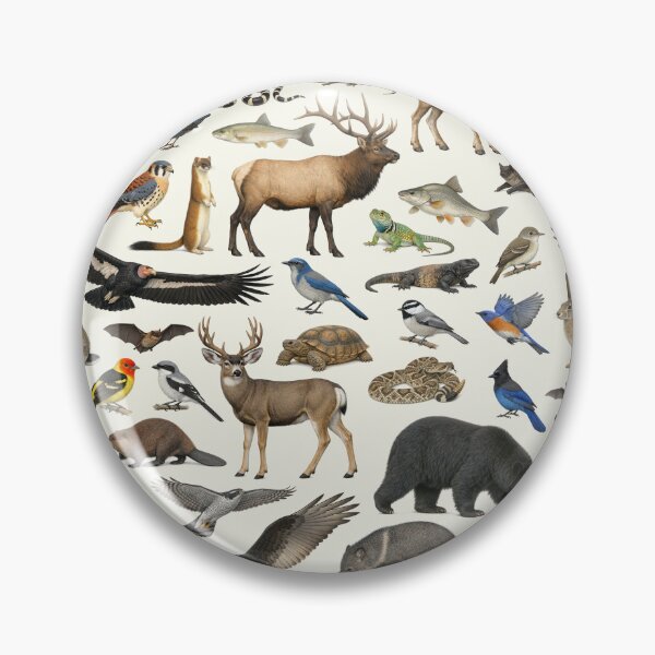 Item preview, Animals of Grand Canyon Retro Style Identification Chart designed and sold by kakarikihill.