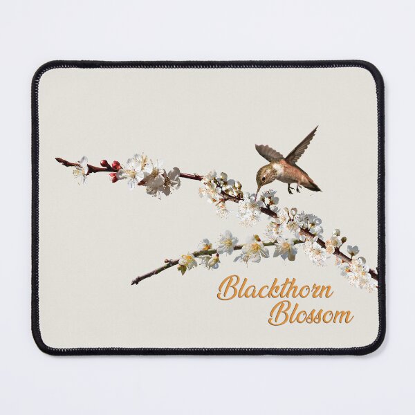 Item preview, SPRING TIME, HUMMINGBIRD, BLACKTHORN, BLOSSOMS, BIRDS designed and sold by classic car craze.