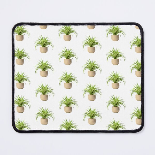 Item preview, Spider Plant designed and sold by Delaneywillem.
