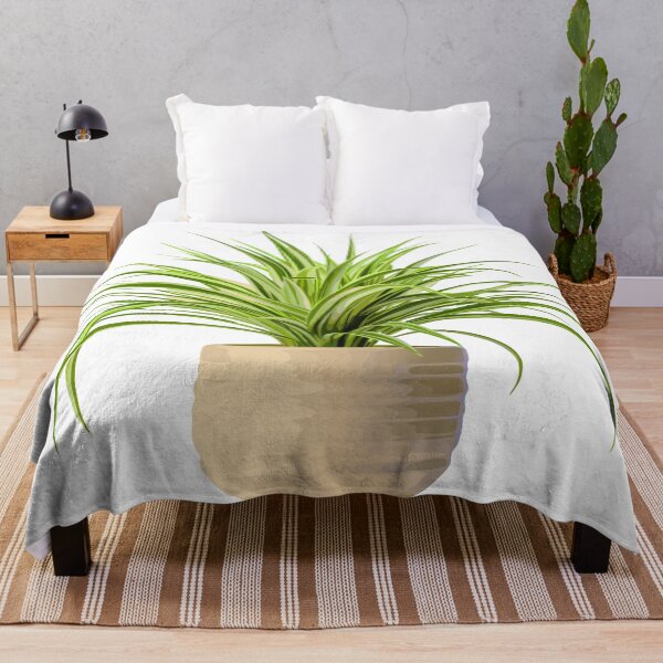 Item preview, Spider Plant designed and sold by Delaneywillem.