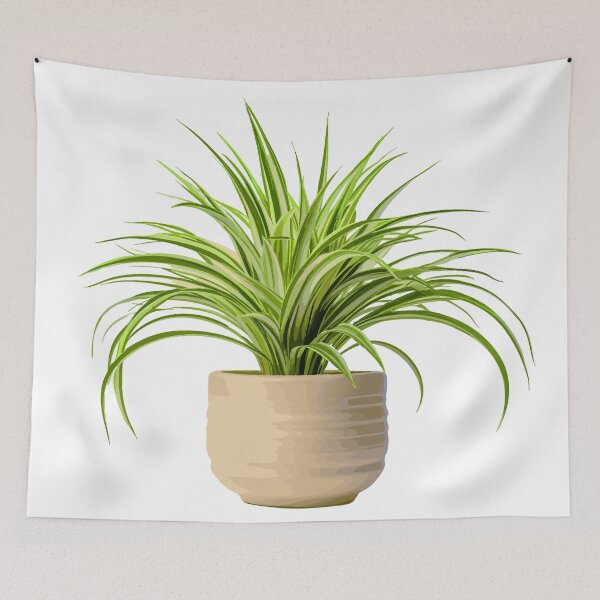 Item preview, Spider Plant designed and sold by Delaneywillem.