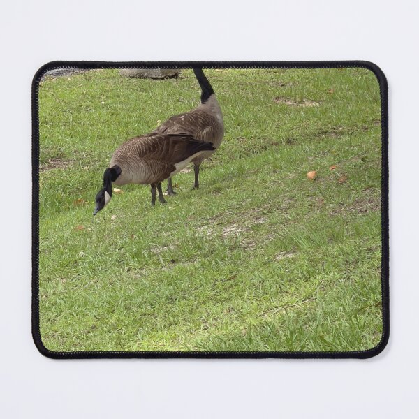 Item preview, Clearly Canadian. designed and sold by Pearls1.