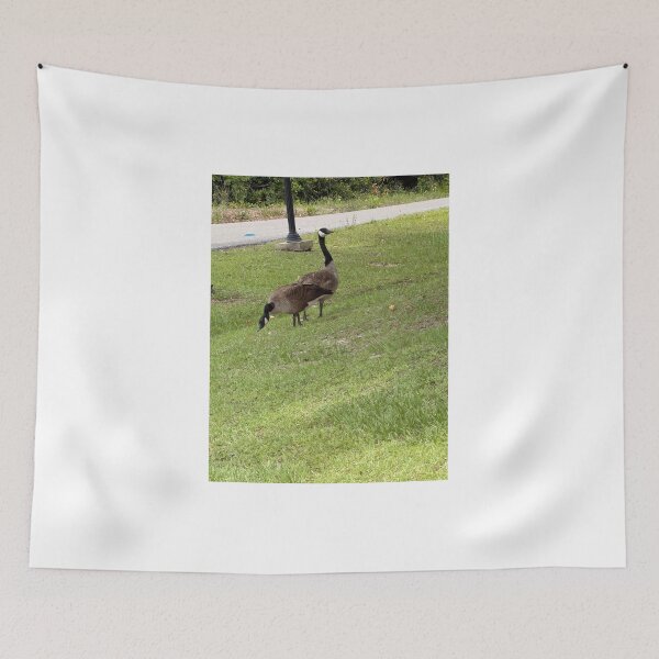 Item preview, Clearly Canadian. designed and sold by Pearls1.