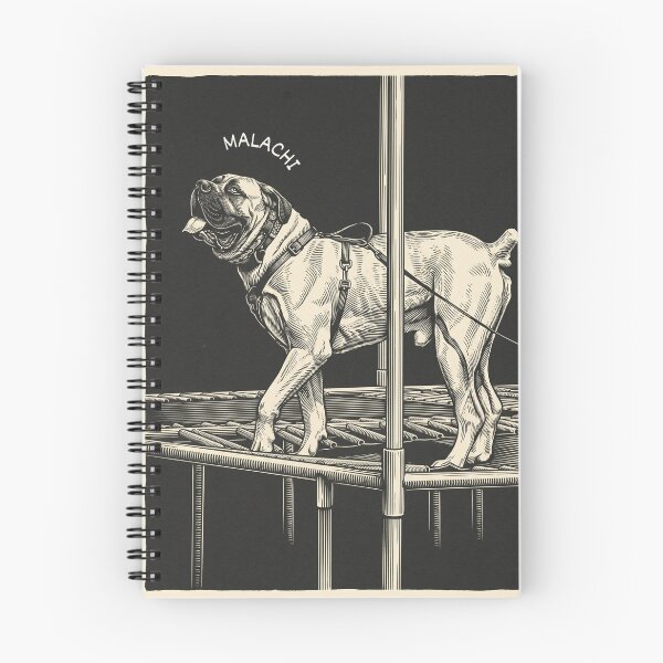 Item preview, trampoline nosework designed and sold by HudsonValleyDog.
