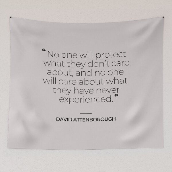 Item preview, David Attenborough Famous Quotes designed and sold by TonsPOD.