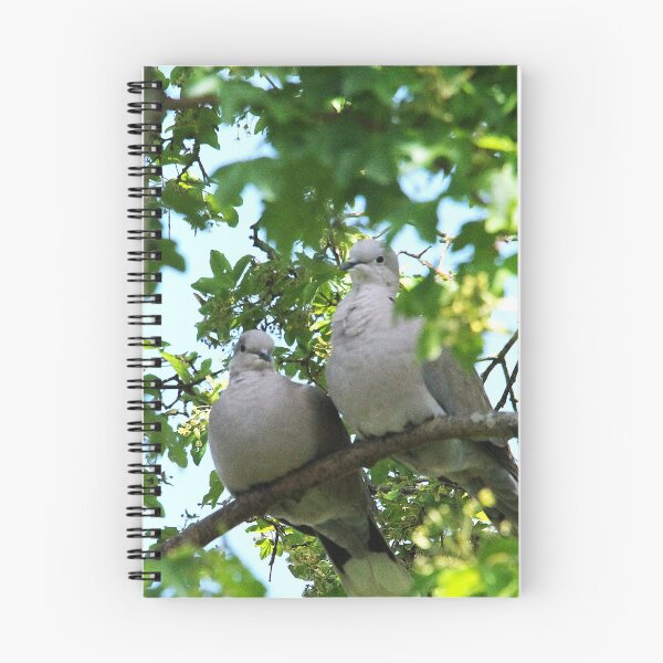 Item preview, A Couple of Lovey Doveys designed and sold by Murph's Images.