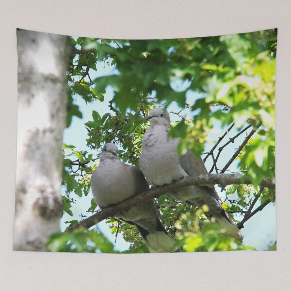 Item preview, A Couple of Lovey Doveys designed and sold by Murph's Images.
