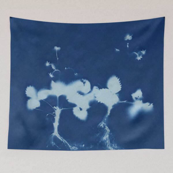 Item preview, Dry Cyanotype of Two Alpine Strawberry Plants designed and sold by LymphomaLass.