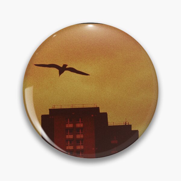 Item preview, seagull soaring over building (glasgow, scotland) (may 2026) designed and sold by photosbykel.