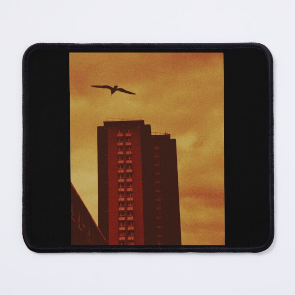 Item preview, seagull soaring over building (glasgow, scotland) (may 2026) designed and sold by photosbykel.