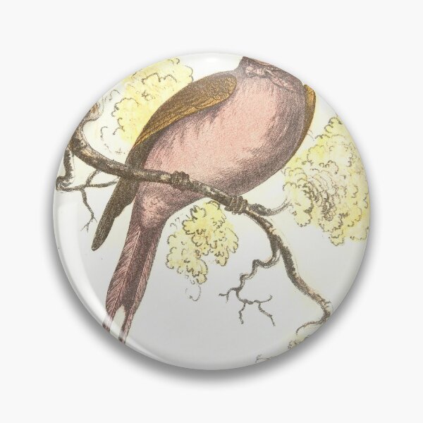 Item preview, Sun Bird Drawing | Bird Art designed and sold by GammaRay.