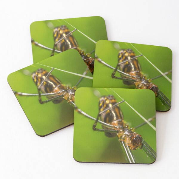 Item preview, Silver Orb Spider designed and sold by robdwildlife.