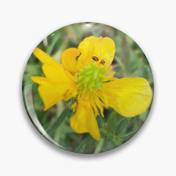 Item preview, Buttercups with Spider designed and sold by Amanda1775.