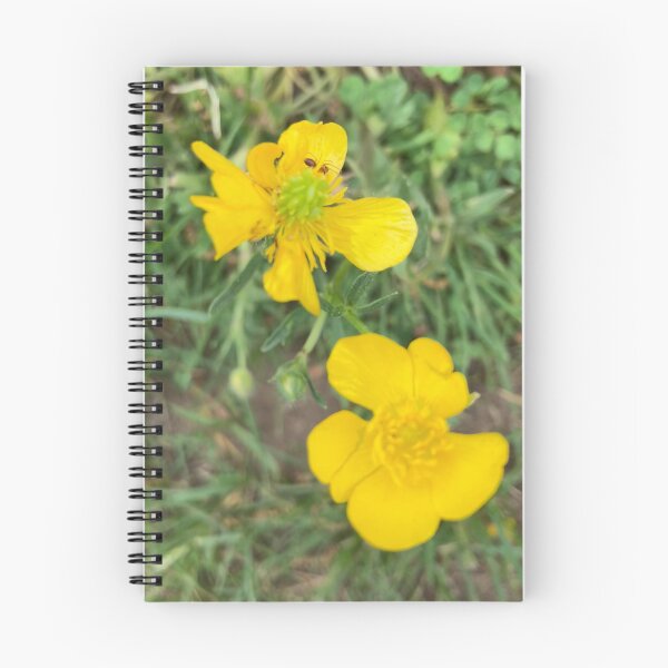 Item preview, Buttercups with Spider designed and sold by Amanda1775.