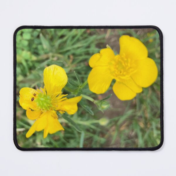 Item preview, Buttercups with Spider designed and sold by Amanda1775.