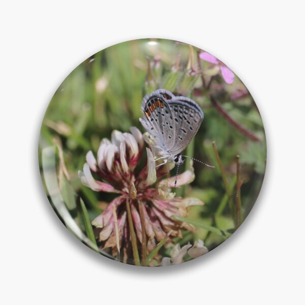 Item preview, Lupine blue butterfly photograph  designed and sold by WolfRaven Creations.