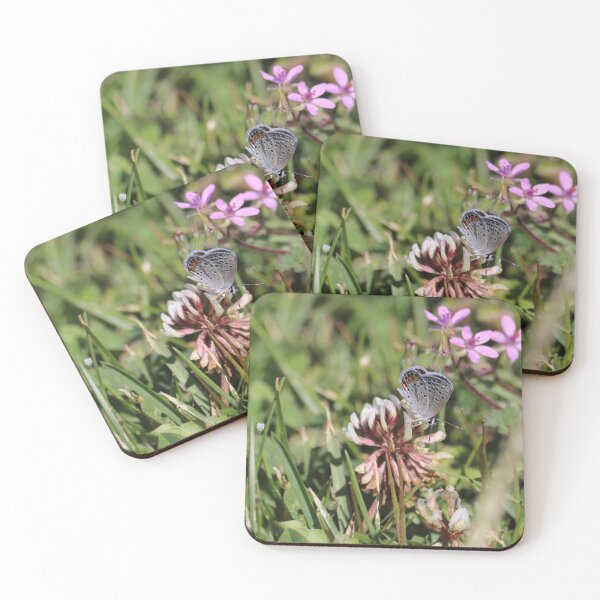 Item preview, Lupine blue butterfly photograph  designed and sold by WolfRaven Creations.