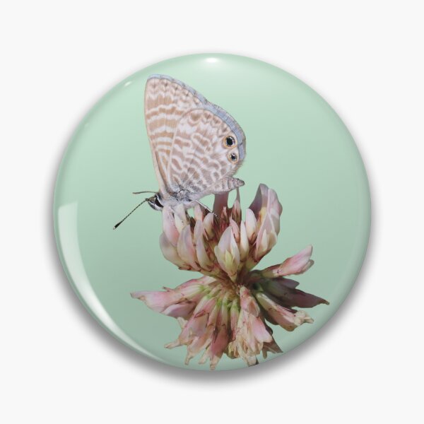 Item preview, Marine blue butterfly photo cutout designed and sold by WolfRaven Creations.