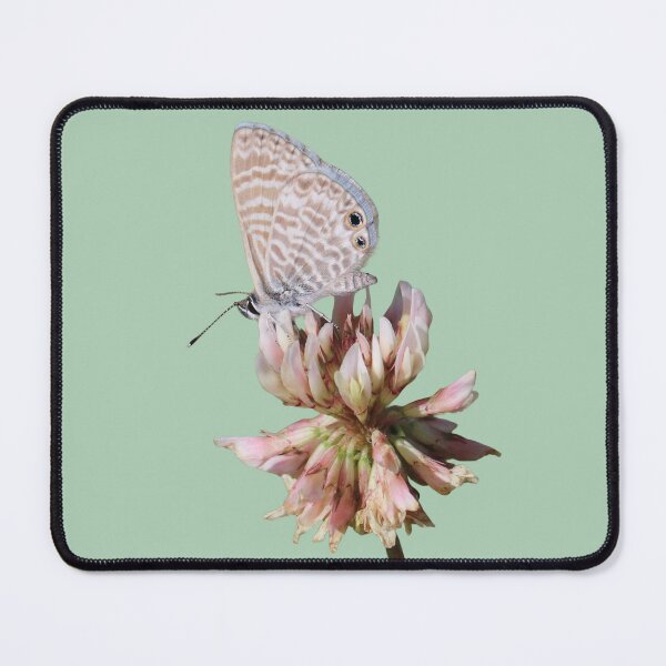 Item preview, Marine blue butterfly photo cutout designed and sold by WolfRaven Creations.