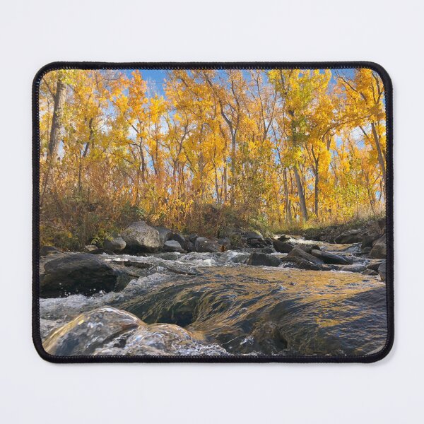 Item preview, Autumn Quaking Aspens designed and sold by Mountain Westscapes.
