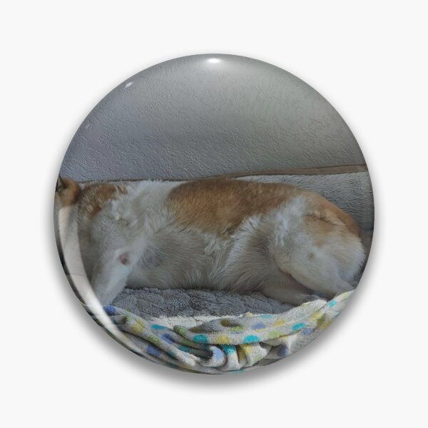 Item preview, sleepy derp designed and sold by Shib's Wares.