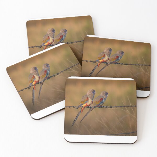 Item preview, Blue Bonnets | Australian Wildlife Print designed and sold by BBoltPhotos.