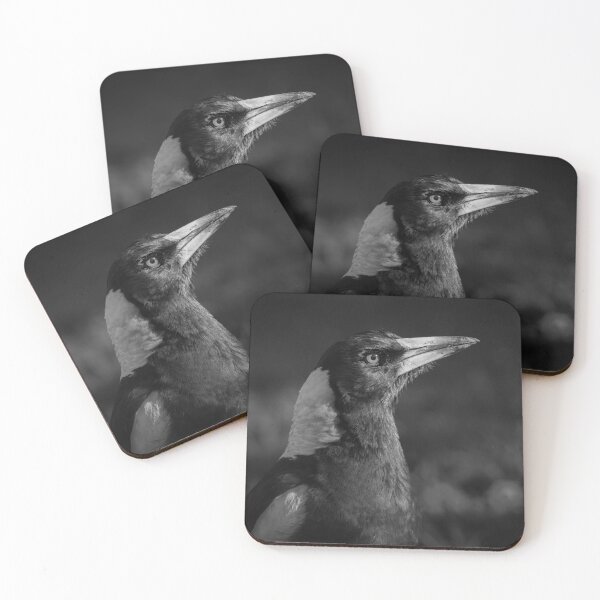 Item preview, Australian Magpie Portrait | Australian Wildlife Print designed and sold by BBoltPhotos.
