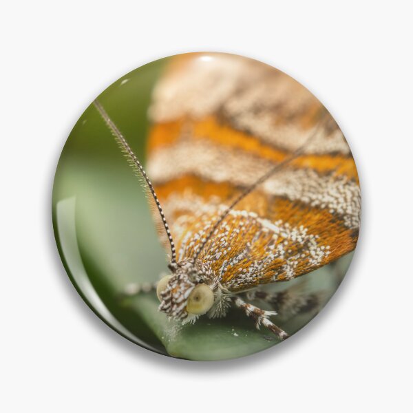 Item preview, Metalmark Moth designed and sold by robdwildlife.