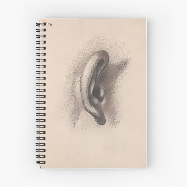 Item preview, Detailed Ear Drawing | Anatomy Art designed and sold by GammaRay.