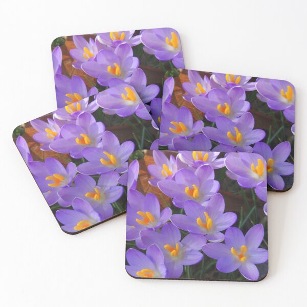 Item preview, Purple Crocus Blooms designed and sold by Rosebughive Photography.
