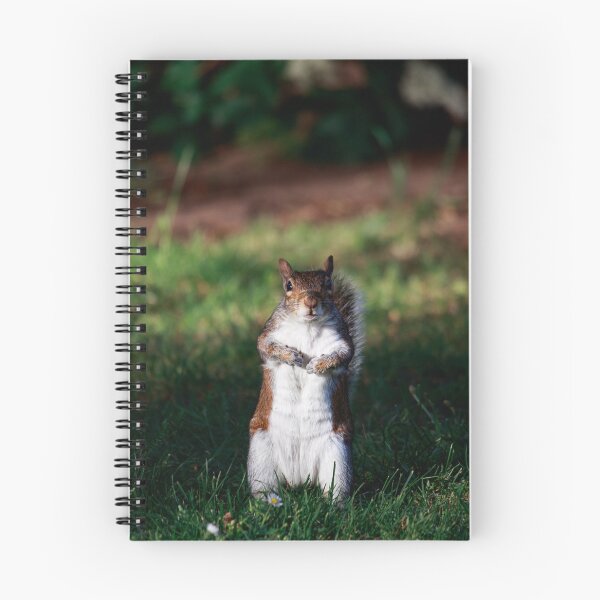 Item preview, Are You Looking At Me? — Grey Squirrel Portrait designed and sold by Feathers-Fur.