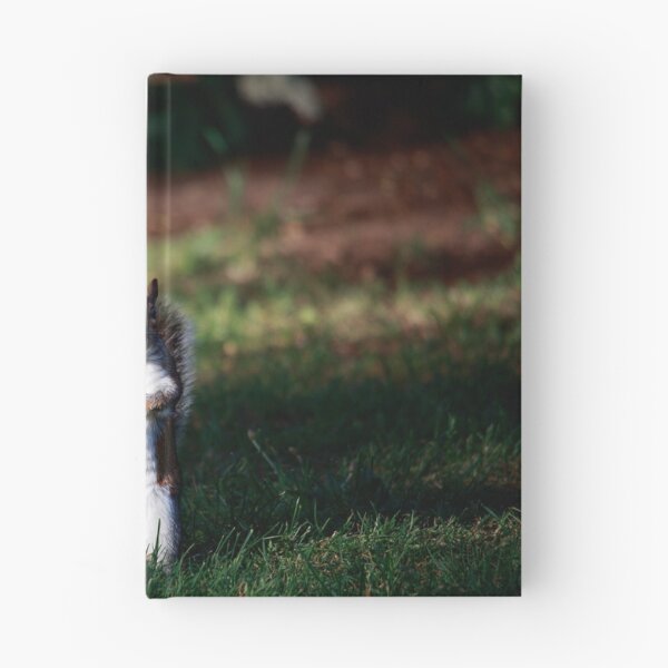 Item preview, Are You Looking At Me? — Grey Squirrel Portrait designed and sold by Feathers-Fur.