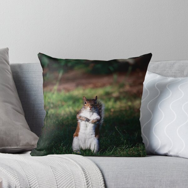 Item preview, Are You Looking At Me? — Grey Squirrel Portrait designed and sold by Feathers-Fur.