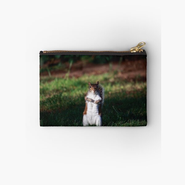 Item preview, Are You Looking At Me? — Grey Squirrel Portrait designed and sold by Feathers-Fur.