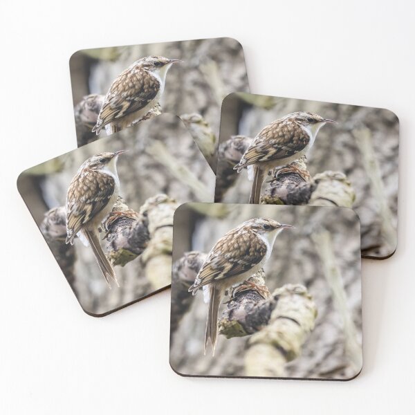 Item preview, Treecreeper designed and sold by UKMatt2000.