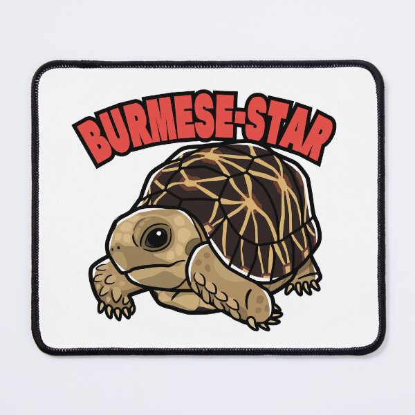 Item preview, Burmese Star Tortoise Japanese Pop Art designed and sold by Rie-TortoTurtle.