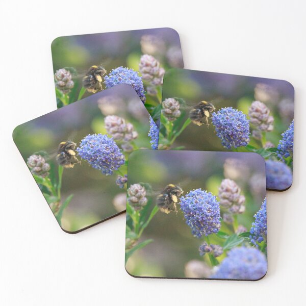 Item preview, Bumblebee in Flight Approaching Ceanothus Flower designed and sold by Feathers-Fur.