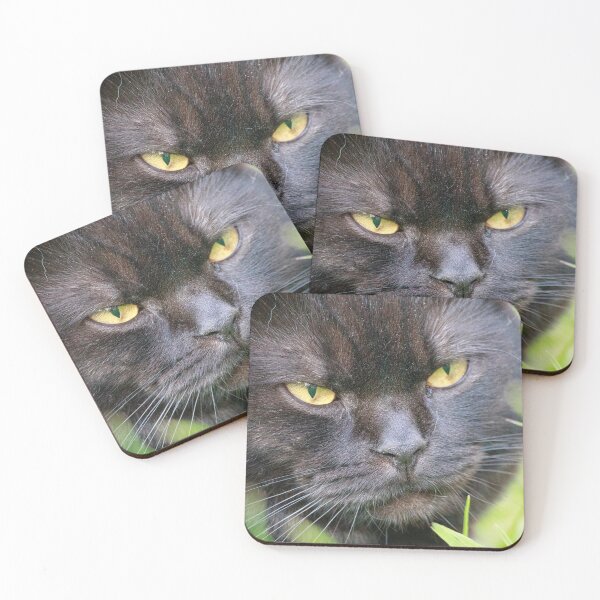 Item preview, Black Cat with Piercing Amber Eyes in Garden designed and sold by Feathers-Fur.