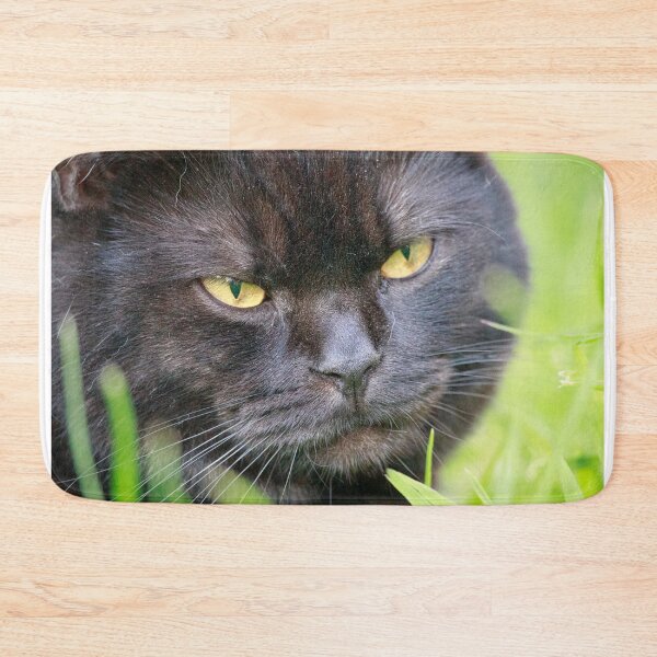Item preview, Black Cat with Piercing Amber Eyes in Garden designed and sold by Feathers-Fur.