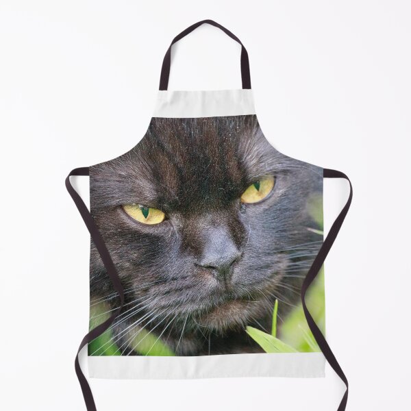 Item preview, Black Cat with Piercing Amber Eyes in Garden designed and sold by Feathers-Fur.