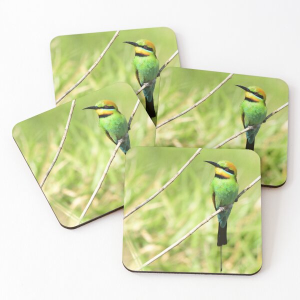 Item preview, Rainbow Bee Eater designed and sold by photosbymia.